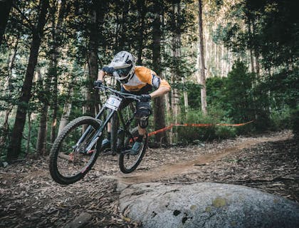 A man riding mountain bike through forest.