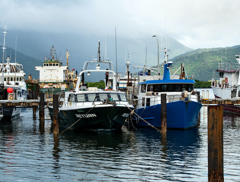 Barcos pesqueros de una empresa pesquera en un muelle.