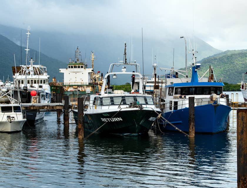Barcos pesqueros de una empresa pesquera en un muelle.