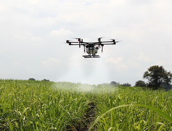Nombres para empresas fumigadoras