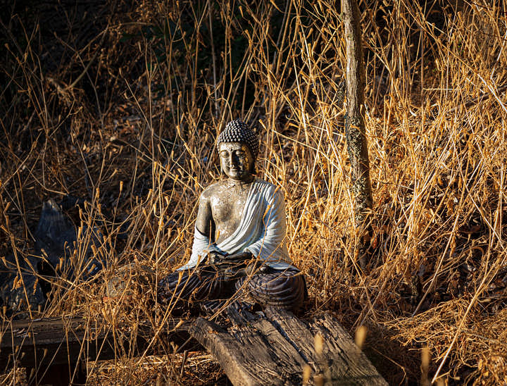 Nombres budistas para negocios