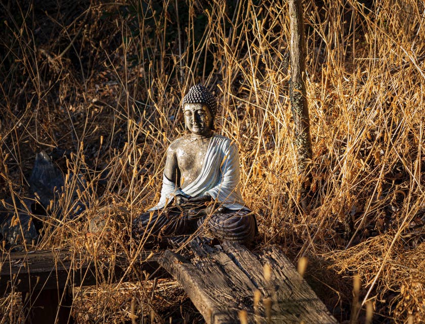 Figura de buda en medio de un paisaje seco en un negocio budista.