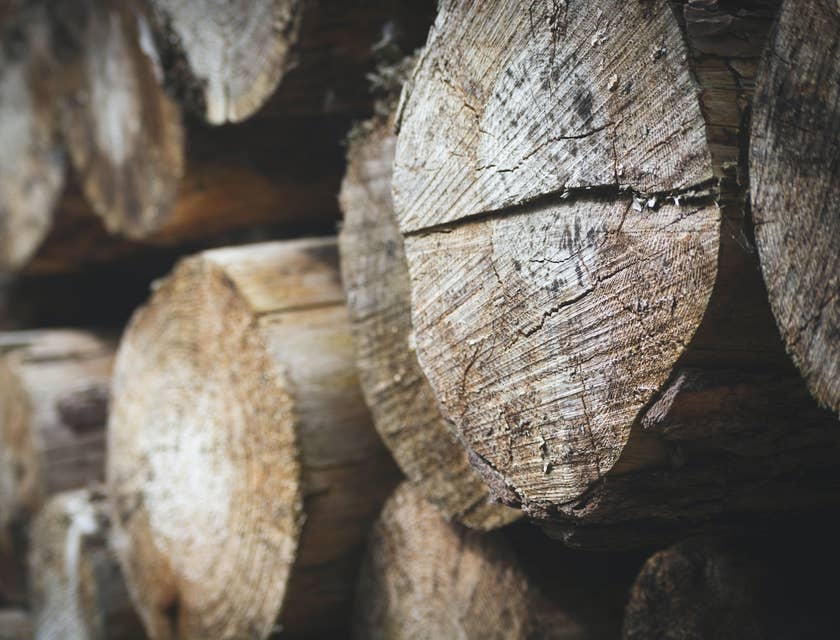 Un grupo de troncos de madera en un aserradero.