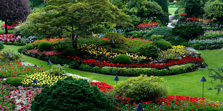 Vista de un hermoso jardín con flores de muchos colores y pasto verde diseñado por una compañía de landscape.