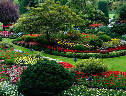Vista de un hermoso jardín con flores de muchos colores y pasto verde diseñado por una compañía de landscape.