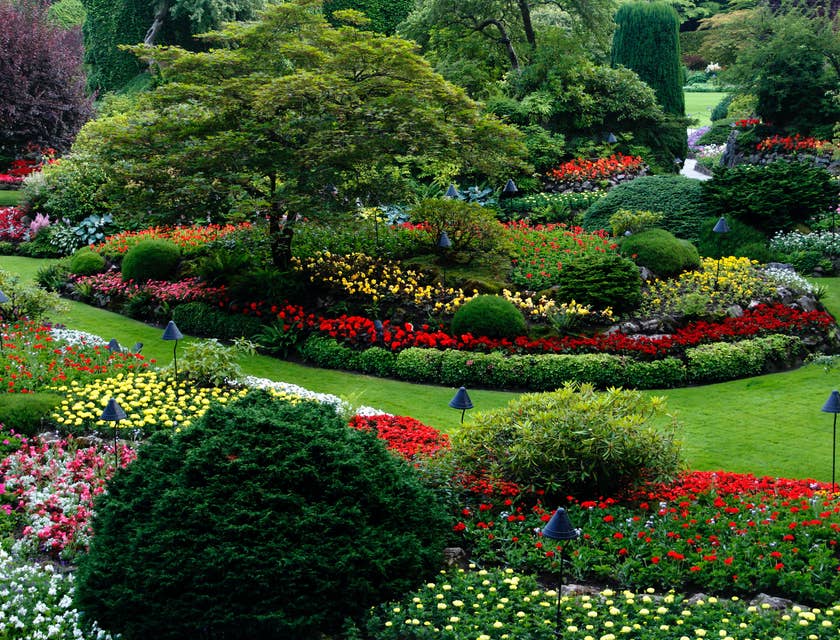 Vista de un hermoso jardín con flores de muchos colores y pasto verde diseñado por una compañía de landscape.