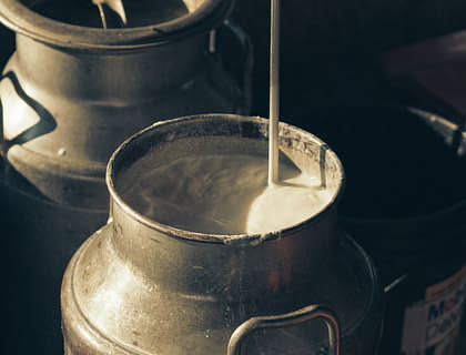 Un recipiente con crema fresca en una cremería.