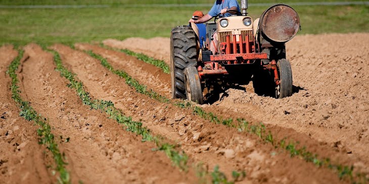 Un hombre en su tractor trabajando en un cultivo en una empresa agropecuaria.