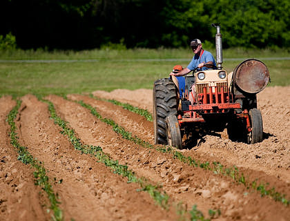 Un hombre en su tractor trabajando en un cultivo en una empresa agropecuaria.