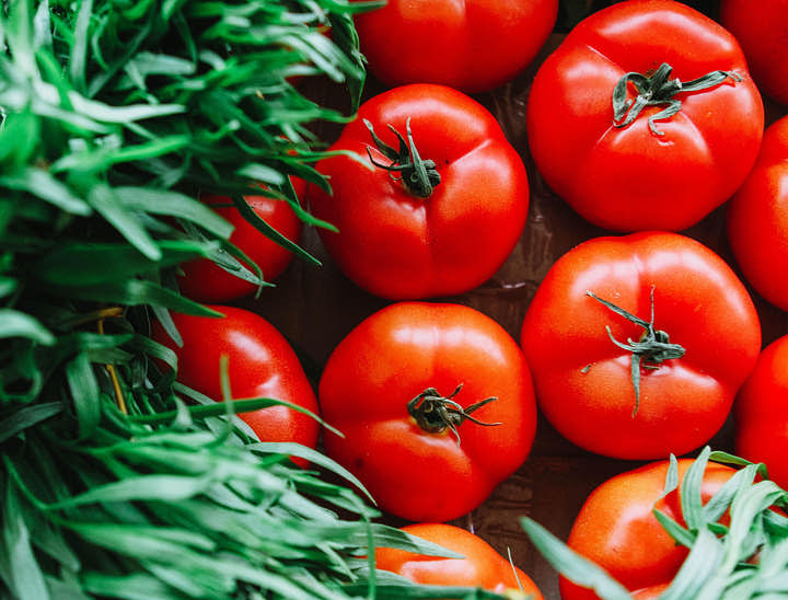 Nombres para empresas de hortalizas