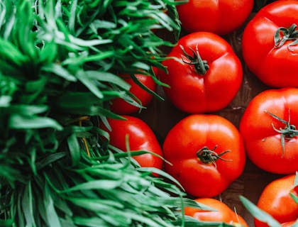 Jitomates y hierbas sobre una superficie de madera en un negocio de hortalizas.