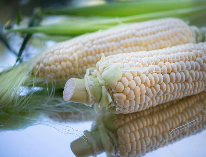 Nombres para empresas de maíz blanco gigante Cusco