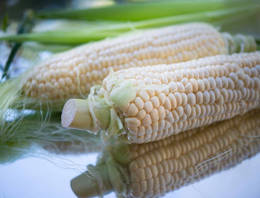 Dos piezas de maíz blanco gigante cusco sobre una superficie reflejante y hojas de maíz al fondo.