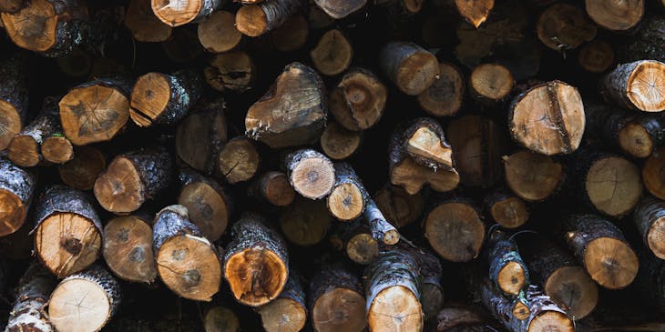 Un tas de bois.