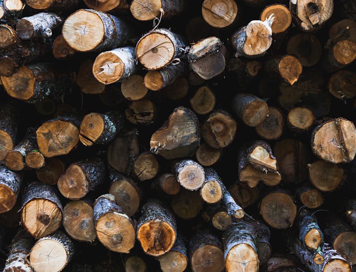 Woodsy Business Names