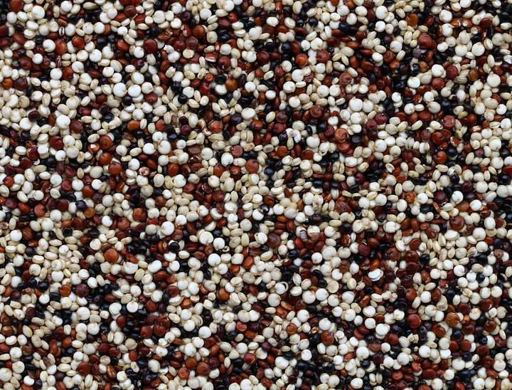 Nombres para empresas de quinua