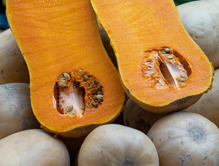 Nombres para empresas de zapallo loche de Lambayeque