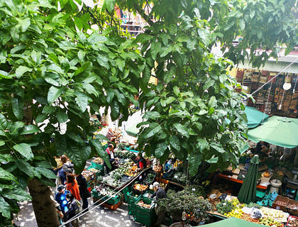 Una fotografía aérea de un mercado.