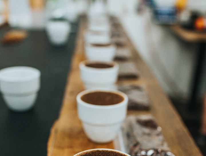 Nombres para negocios de cacao arriba