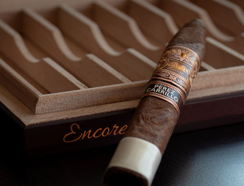 Un habano recargado en una caja de habanos en un negocio de habanos.