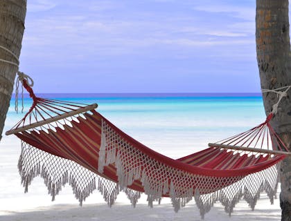 A hammock slung between two palm trees by the ocean.