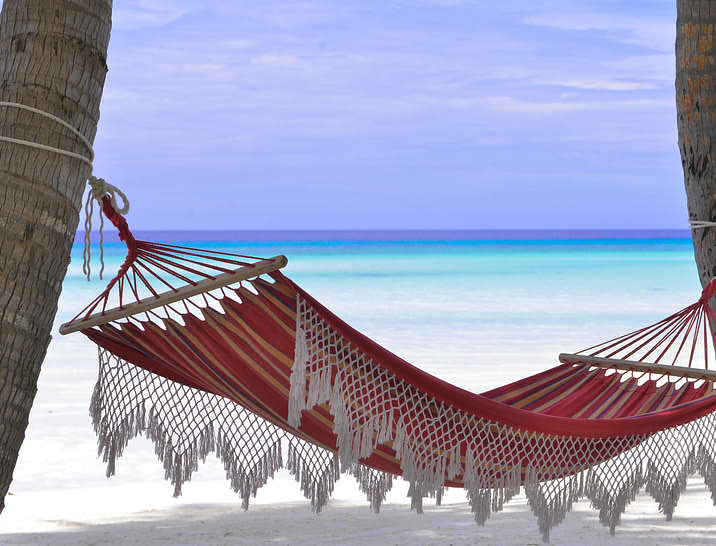 Hammock Business Names