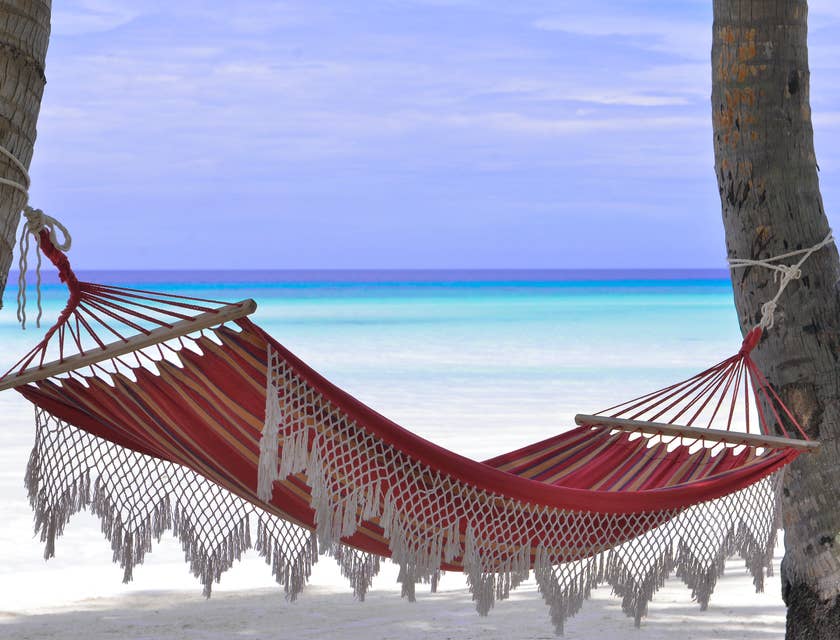 A hammock slung between two palm trees by the ocean.