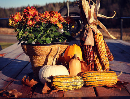 Un par de mazorcas de elote y algunas calabazas listas para formar parte de un platillo de locro en un negocio de locro.