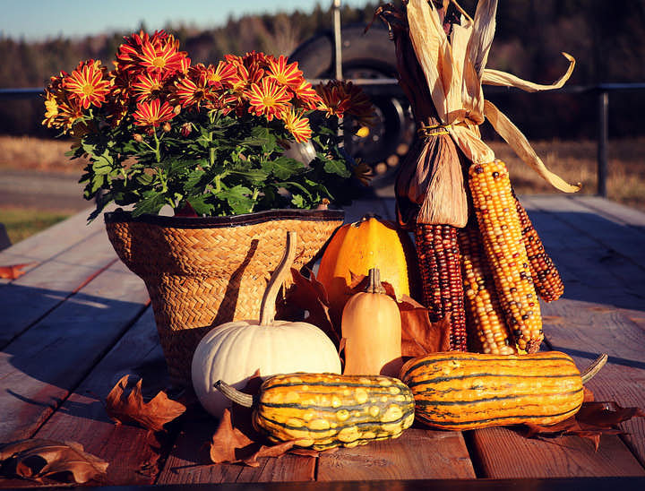Nombres para negocios de locro