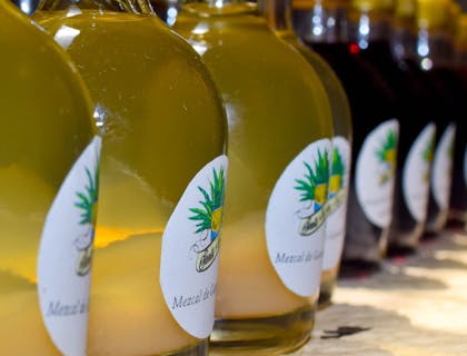 Nombres para negocios de mezcal