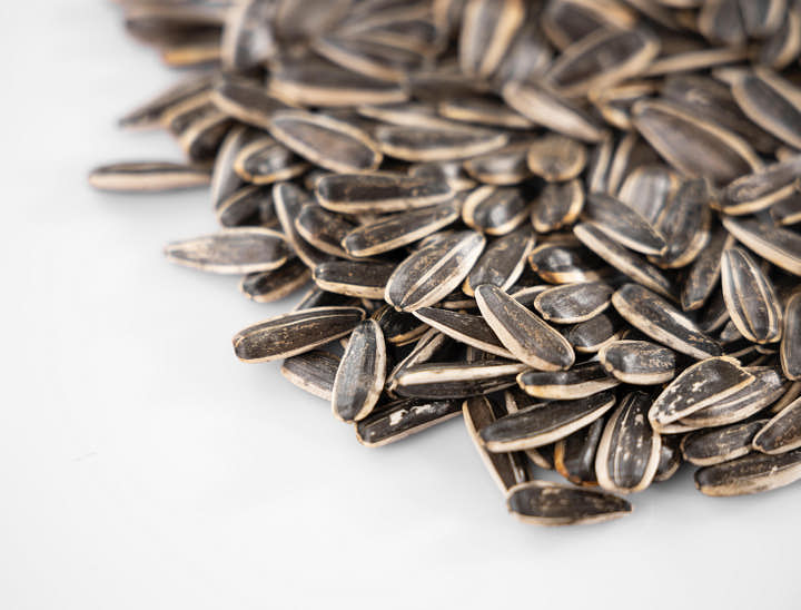 Nombres para negocios de pipas saladas