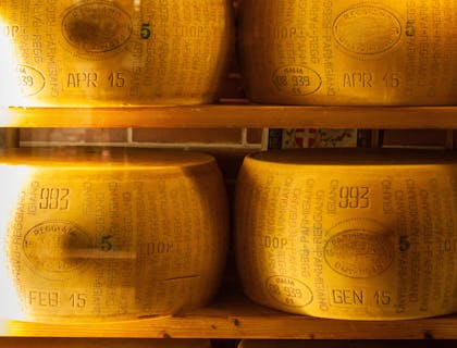 Nombres para negocios de queso reggianito