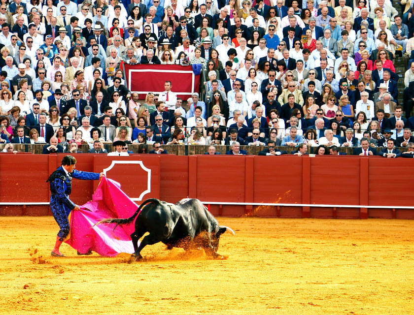Un matador de toros toreando en medio de una plaza de un negocio de torero.