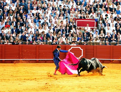 Nombres para negocios de torero