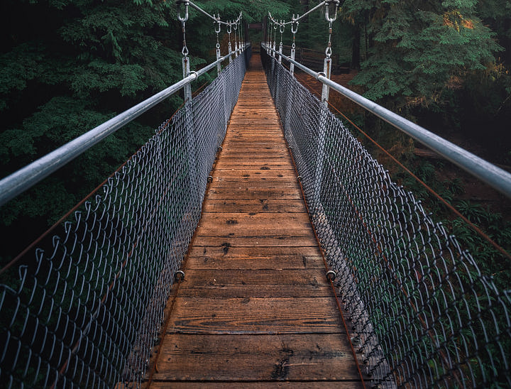 Nombres para negocios de tours a Gumbalimba Park