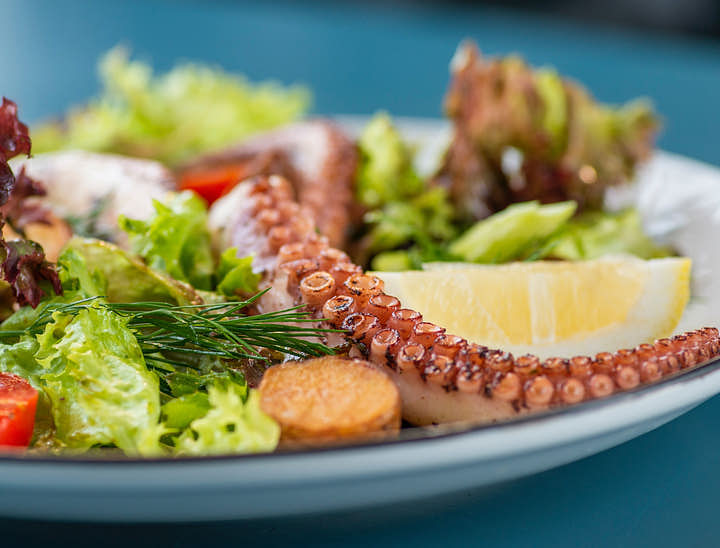 Nombres para restaurantes pescetarianos