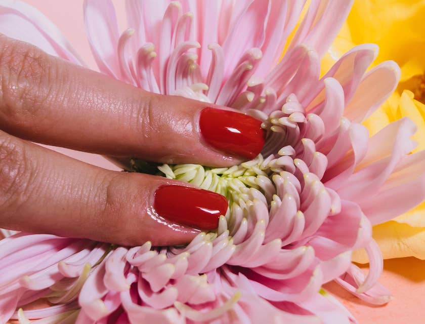 Una flor siendo tocada por un par de dedos de la mano de una mujer en una tienda erótica.