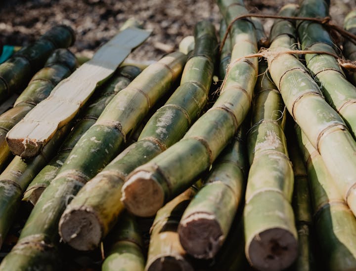 Nomes para barracas de caldo de cana
