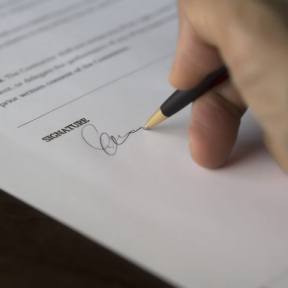 Obtén una licencia por cada diseño que compres.