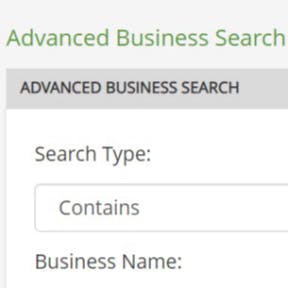 Open the advanced business search tool.