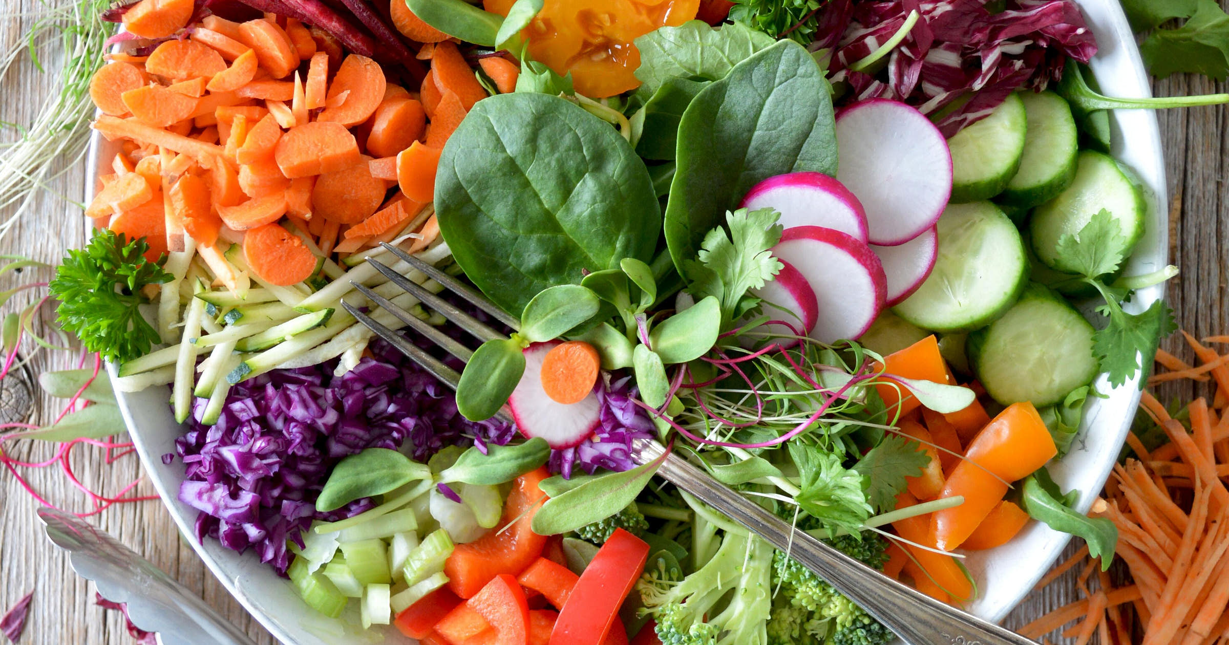 Organic Food Business Names + Free Logos