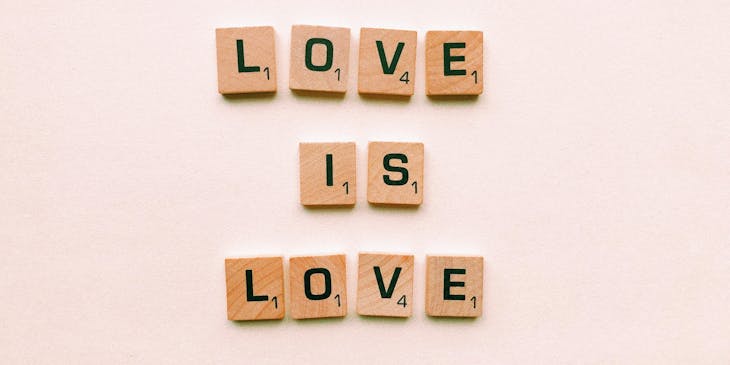 A palindromic sentence that reads "love is love."