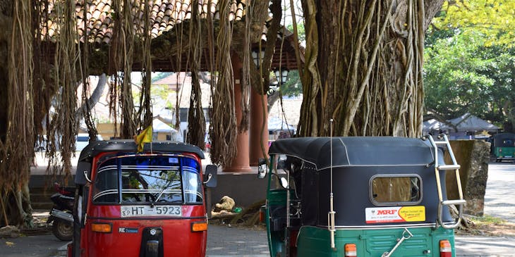Two assorted pedicabs parked under some trees.