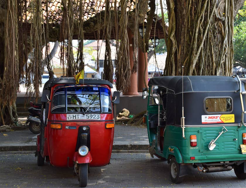 Two assorted pedicabs parked under some trees.