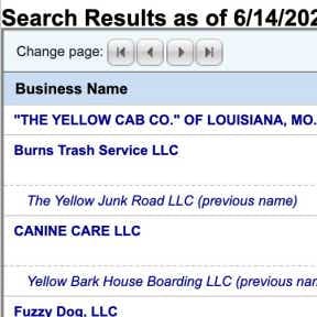 Perform a name availability search.