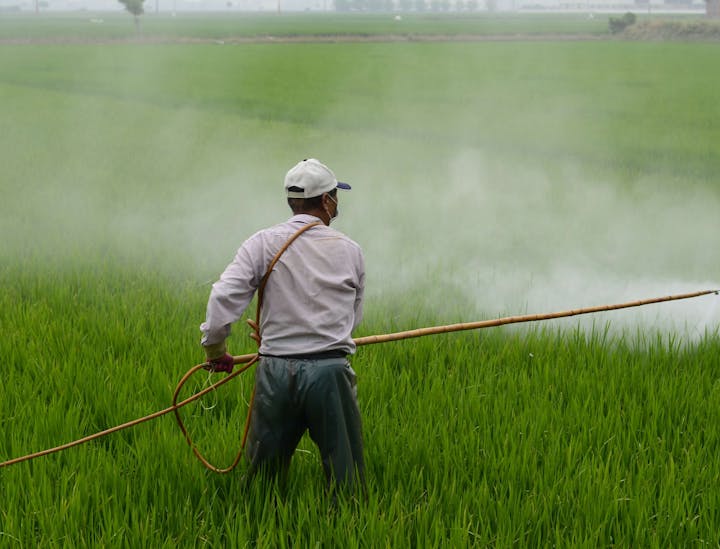 Nomi per Servizi di Disinfestazione
