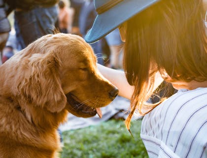 Una coppia che saluta il proprio cane prima di lasciarlo in una pensione per animali domestici e partire per una vacanza.