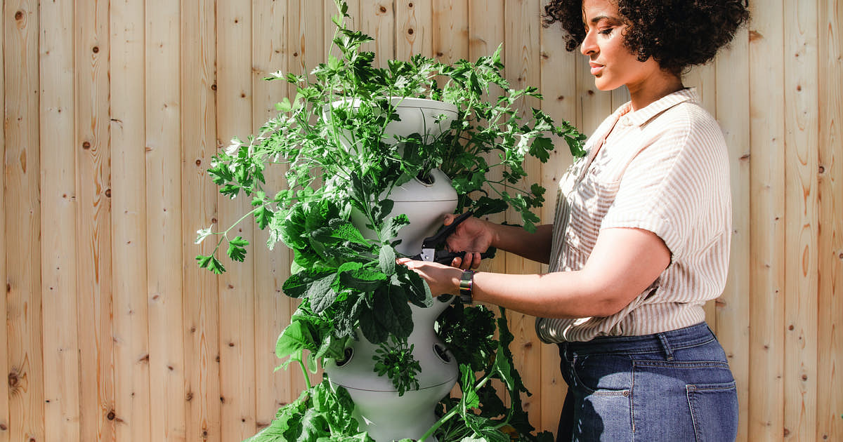 Plant Business Names