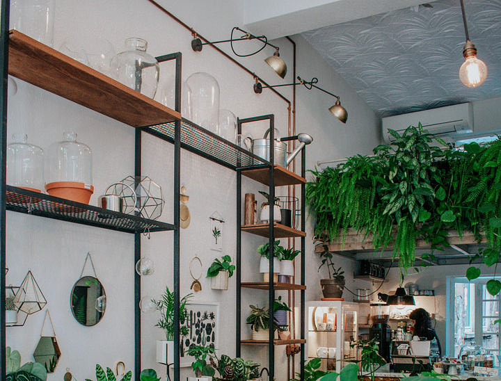 Nombres para almacenes de plantas