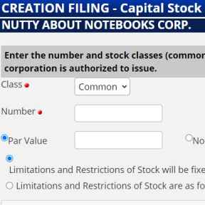 Provide capital stock information.